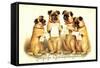 Glückwunsch Geburtstag, Vier Singende Hunde-null-Framed Stretched Canvas