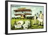 Glückwunsch Ostern, Küken Schlüpft, Flugzeug-null-Framed Premium Giclee Print