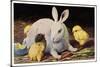 Glückwunsch Ostern, Osterhase Mit Küken-null-Stretched Canvas