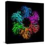 Glutamine Synthetase Enzyme-Laguna Design-Stretched Canvas