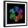 Glutamine Synthetase Enzyme-Laguna Design-Framed Premium Photographic Print