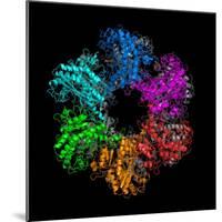 Glutamine Synthetase Enzyme-Laguna Design-Mounted Premium Photographic Print