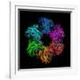 Glutamine Synthetase Enzyme-Laguna Design-Framed Photographic Print