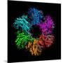 Glutamine Synthetase Enzyme-Laguna Design-Mounted Photographic Print