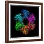 Glutamine Synthetase Enzyme-Laguna Design-Framed Photographic Print