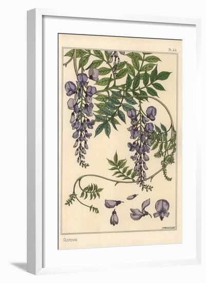 Glycine Botanical Study, 1897 (Lithograph)-Eugene Grasset-Framed Giclee Print