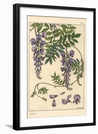 Glycine Botanical Study, 1897 (Lithograph)-Eugene Grasset-Framed Giclee Print