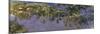 Glycines-Claude Monet-Mounted Premium Giclee Print