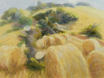 Harvest, 1995-Glyn Morgan-Giclee Print