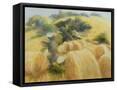 Framed Canvas