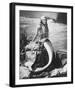 Glynis Johns-null-Framed Photo