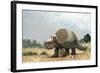 Glyptotherium Arizonae, a North American Megafauna-null-Framed Art Print