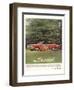 GM Bold New Buick Look for '63-null-Framed Art Print