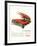 GM Buick-Gran Sport 325 Hp-null-Framed Art Print