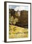 Gmunden, Schloss 1916-Mima Nixon-Framed Art Print