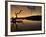 Gnarled Branches Poking out of Calm Lake-Jan Lakey-Framed Photographic Print