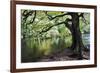 Gnarled Old Tree by the River Nidd in Nidd Gorge in Autumn-Mark Sunderland-Framed Photographic Print