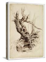 Gnarled Tree Trunk, C.1826 (Pen and Brown Ink over Graphite Pencil on Cream Wove Paper)-Thomas Cole-Stretched Canvas