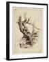 Gnarled Tree Trunk, C.1826 (Pen and Brown Ink over Graphite Pencil on Cream Wove Paper)-Thomas Cole-Framed Giclee Print