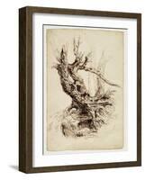 Gnarled Tree Trunk, C.1826 (Pen and Brown Ink over Graphite Pencil on Cream Wove Paper)-Thomas Cole-Framed Giclee Print