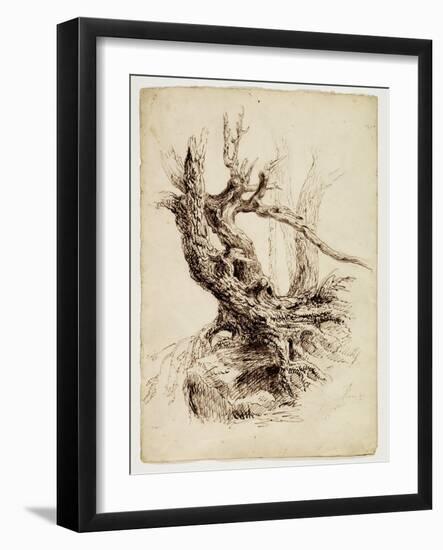 Gnarled Tree Trunk, C.1826 (Pen and Brown Ink over Graphite Pencil on Cream Wove Paper)-Thomas Cole-Framed Giclee Print