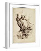 Gnarled Tree Trunk, C.1826 (Pen and Brown Ink over Graphite Pencil on Cream Wove Paper)-Thomas Cole-Framed Giclee Print