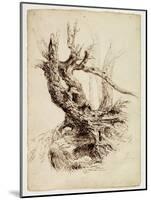 Gnarled Tree Trunk, C.1826 (Pen and Brown Ink over Graphite Pencil on Cream Wove Paper)-Thomas Cole-Mounted Giclee Print