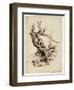 Gnarled Tree Trunk, C.1826 (Pen and Brown Ink over Graphite Pencil on Cream Wove Paper)-Thomas Cole-Framed Premium Giclee Print