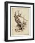 Gnarled Tree Trunk, C.1826 (Pen and Brown Ink over Graphite Pencil on Cream Wove Paper)-Thomas Cole-Framed Premium Giclee Print