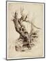 Gnarled Tree Trunk, C.1826 (Pen and Brown Ink over Graphite Pencil on Cream Wove Paper)-Thomas Cole-Mounted Premium Giclee Print