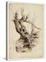 Gnarled Tree Trunk, C.1826 (Pen and Brown Ink over Graphite Pencil on Cream Wove Paper)-Thomas Cole-Stretched Canvas