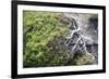 Gnarled vegetation in Cap de Creus, Costa Brava, Catalonia, Spain-Peter Kreil-Framed Photographic Print