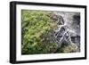 Gnarled vegetation in Cap de Creus, Costa Brava, Catalonia, Spain-Peter Kreil-Framed Photographic Print