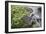 Gnarled vegetation in Cap de Creus, Costa Brava, Catalonia, Spain-Peter Kreil-Framed Photographic Print