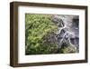 Gnarled vegetation in Cap de Creus, Costa Brava, Catalonia, Spain-Peter Kreil-Framed Photographic Print