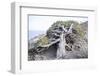 Gnarled vegetation in Cap de Creus, Costa Brava, Catalonia, Spain-Peter Kreil-Framed Photographic Print