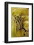 Gnathocera Triviattata Triviattata (Flower Beetle)-Paul Starosta-Framed Photographic Print