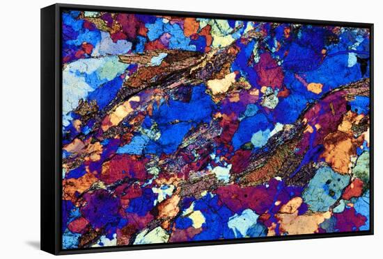 Gneiss, Thin Section, Polarised LM-PASIEKA-Framed Stretched Canvas