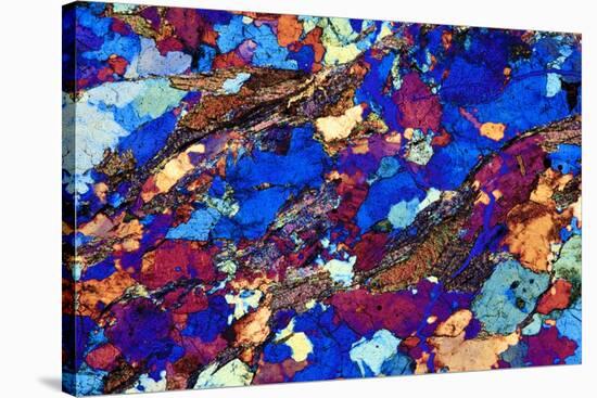 Gneiss, Thin Section, Polarised LM-PASIEKA-Stretched Canvas