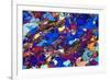 Gneiss, Thin Section, Polarised LM-PASIEKA-Framed Photographic Print