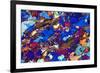 Gneiss, Thin Section, Polarised LM-PASIEKA-Framed Photographic Print