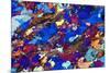 Gneiss, Thin Section, Polarised LM-PASIEKA-Mounted Photographic Print