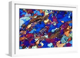 Gneiss, Thin Section, Polarised LM-PASIEKA-Framed Photographic Print