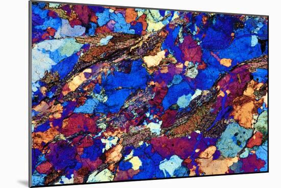 Gneiss, Thin Section, Polarised LM-PASIEKA-Mounted Photographic Print