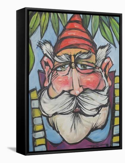 Gnome 1-Tim Nyberg-Framed Stretched Canvas