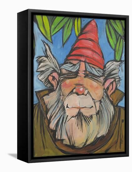 Gnome 2-Tim Nyberg-Framed Stretched Canvas