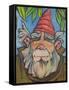 Gnome 2-Tim Nyberg-Framed Stretched Canvas