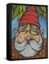 Gnome 5-Tim Nyberg-Framed Stretched Canvas