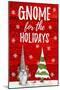 Gnome for the Holidays-Hugo Edwins-Mounted Art Print