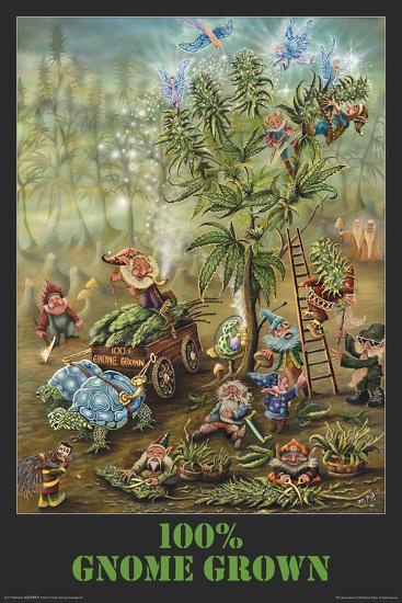 Gnome Grown-null-Lamina Framed Poster